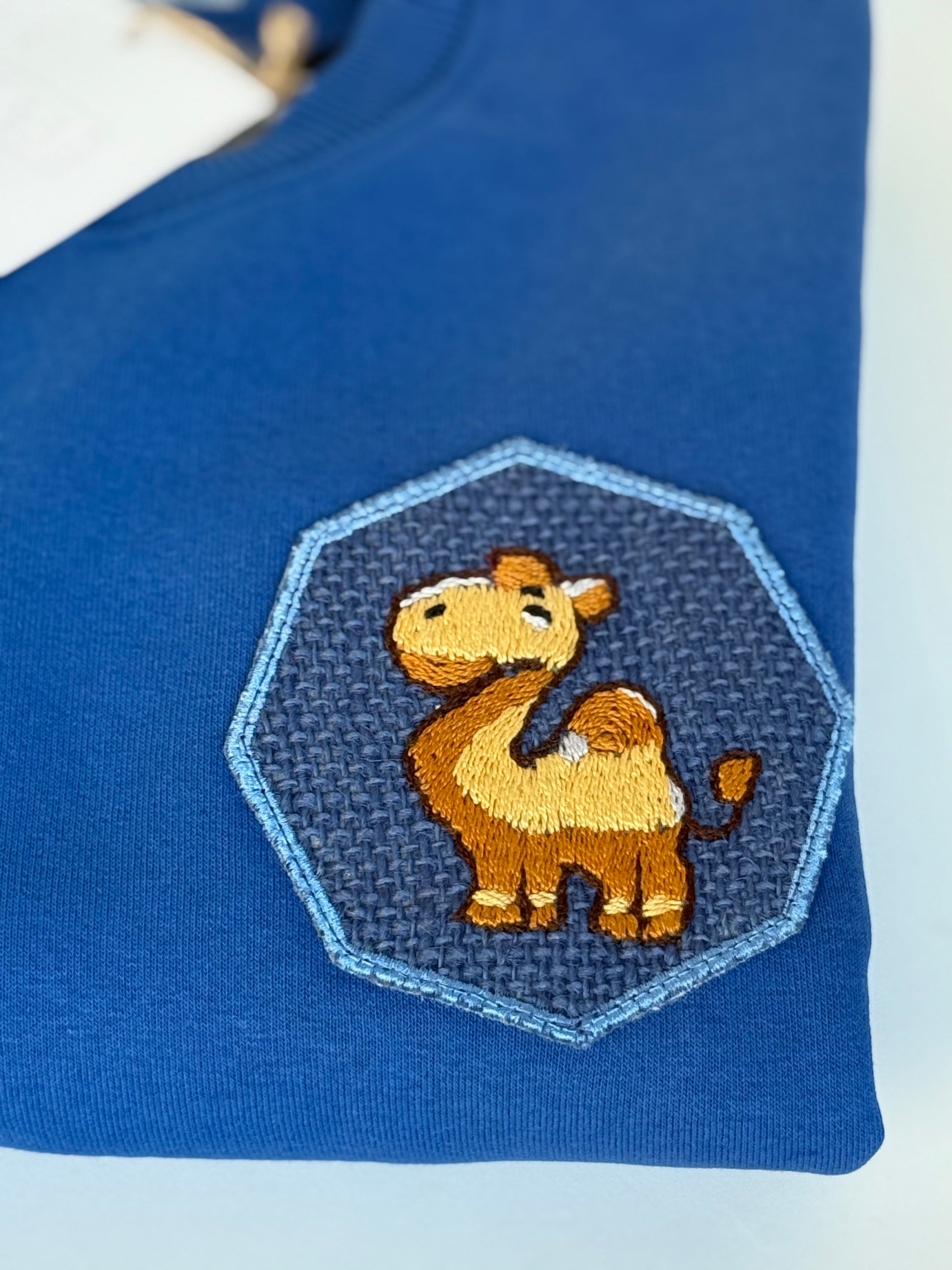 Kids Hand Embroidered Sweatshirt - Blue