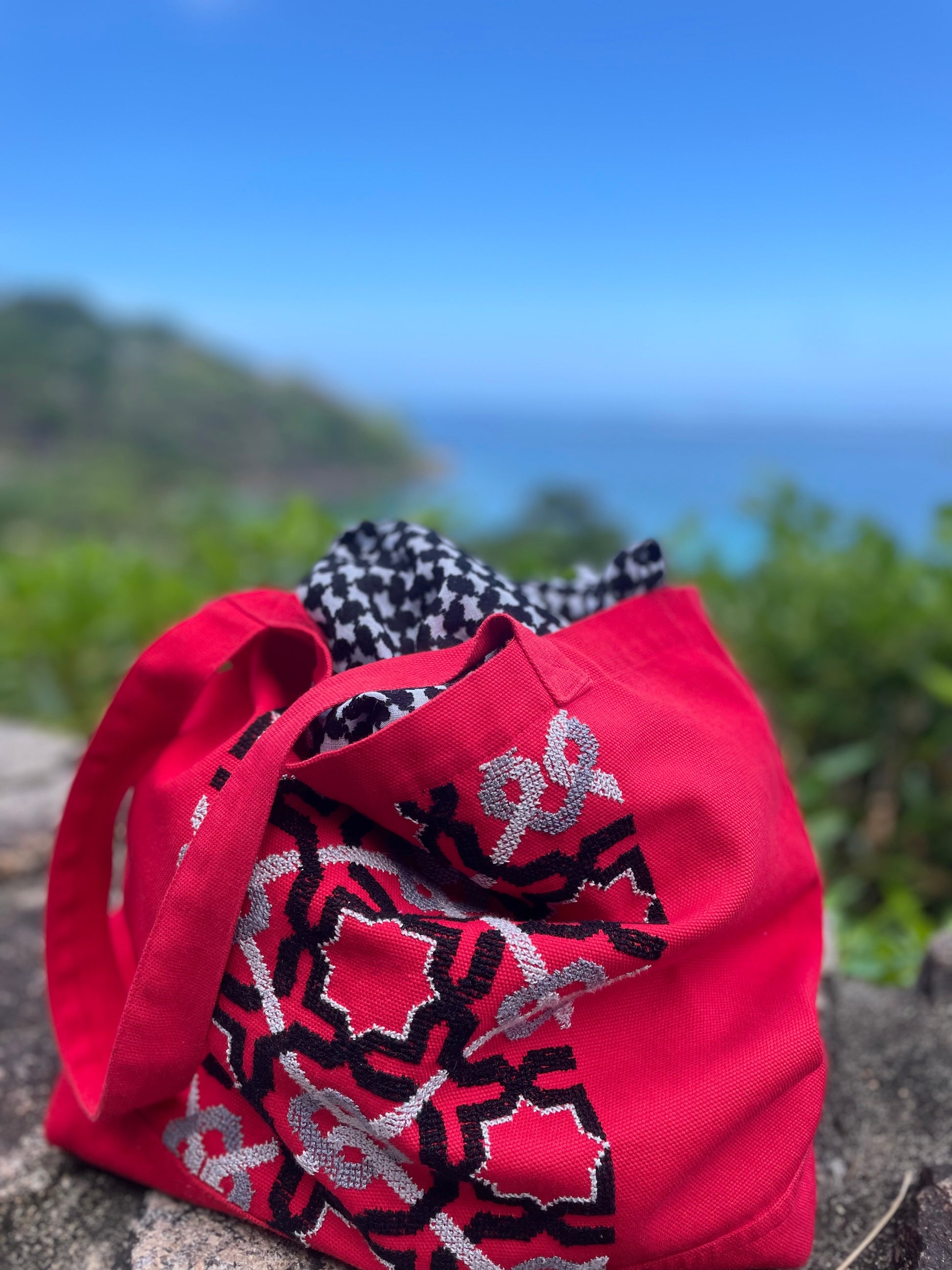 RED CANVAS BAG