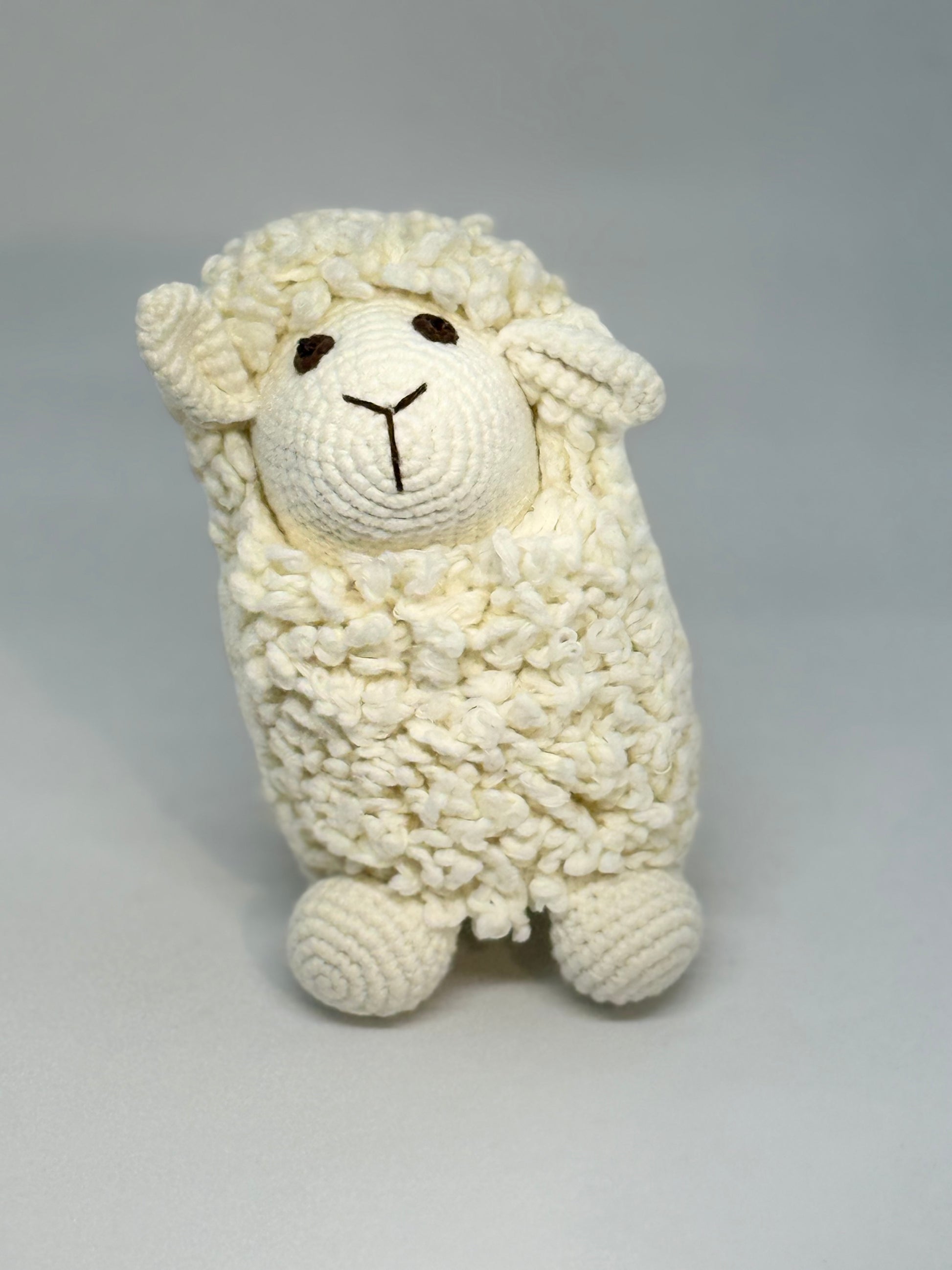 FARAWEE SHEEP