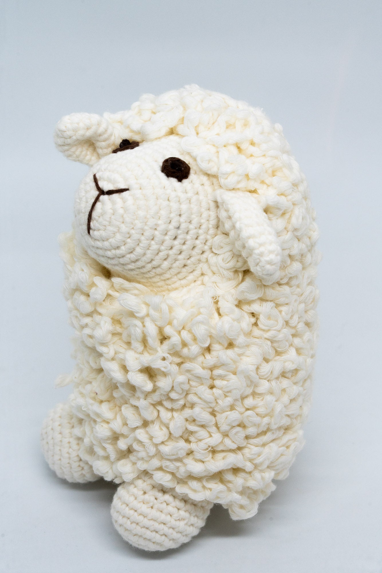 FARAWEE SHEEP