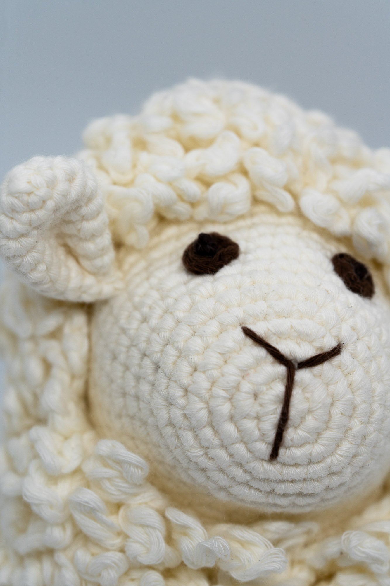 FARAWEE SHEEP