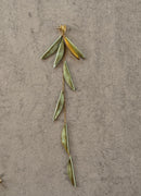 Olive Leaves Earring